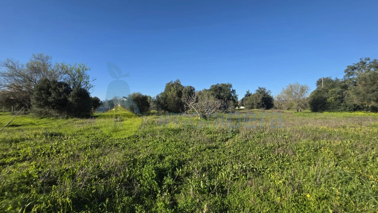Terreno Agricola ou Rústico para Venda em Paderne Foto 1