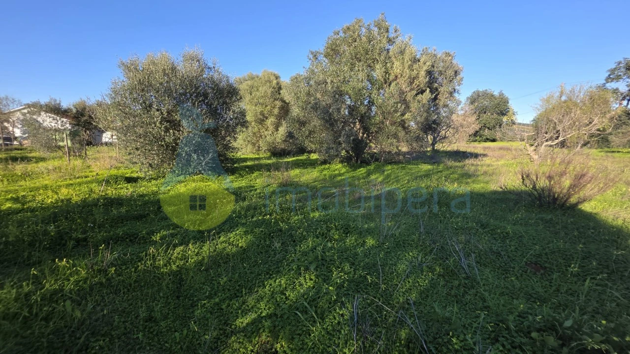 Terreno Agricola ou Rústico para Venda em Paderne Foto 2