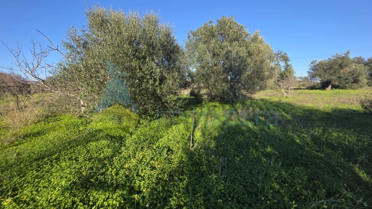Terreno Agricola ou Rústico para Venda em Paderne Foto 3