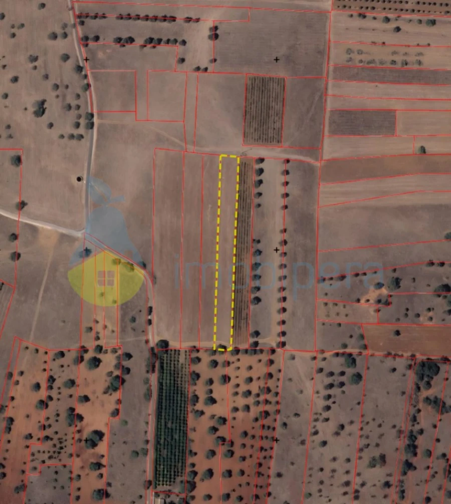 Terreno Agricola ou Rústico para Venda em Paderne Foto 1