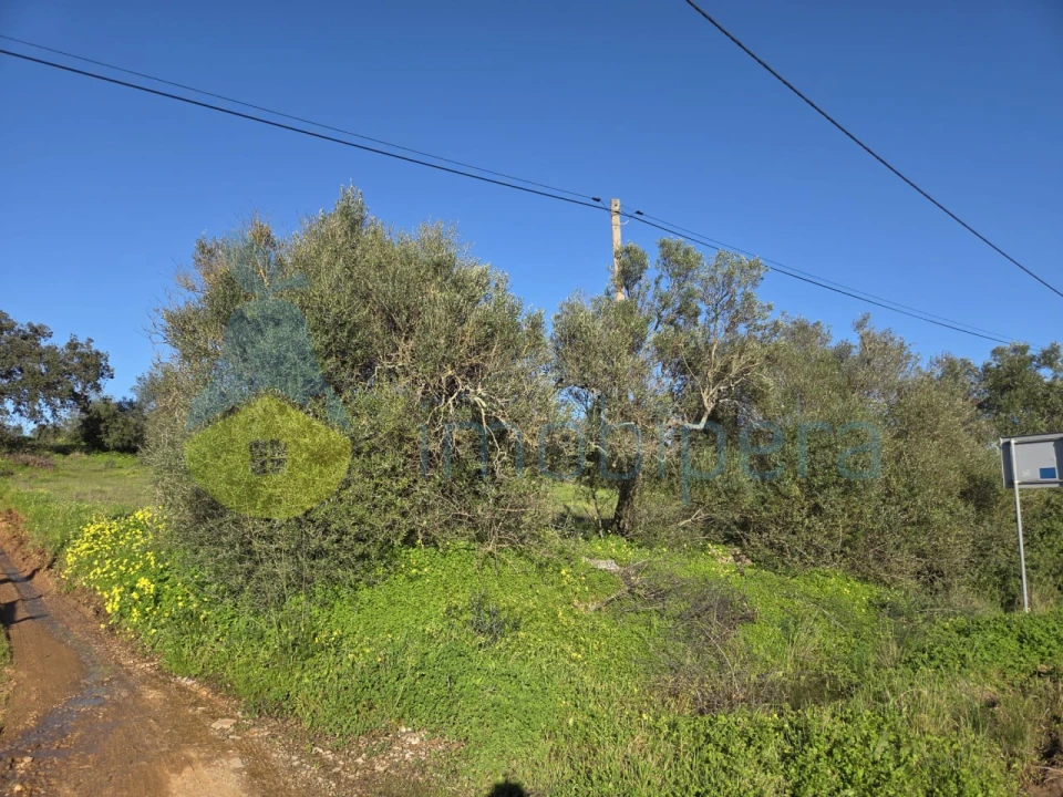 Terreno Agricola ou Rústico para Venda em Paderne Foto 3