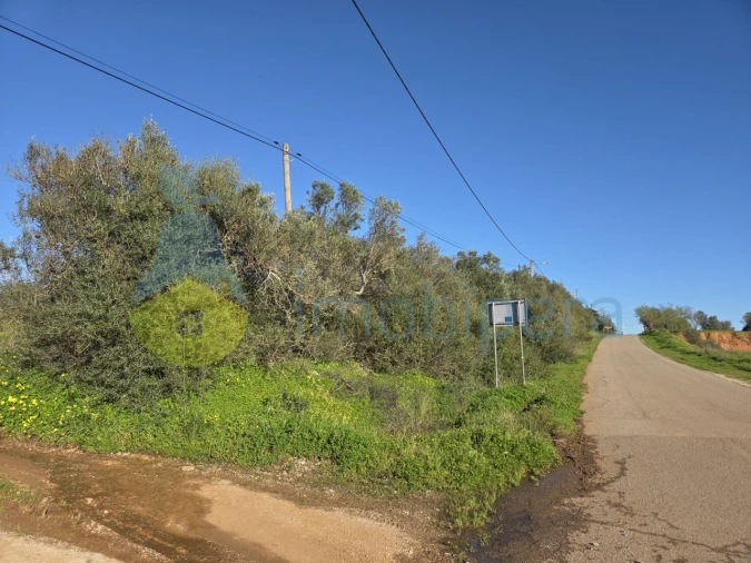 Terreno Agricola ou Rústico para Venda em Paderne Foto 2