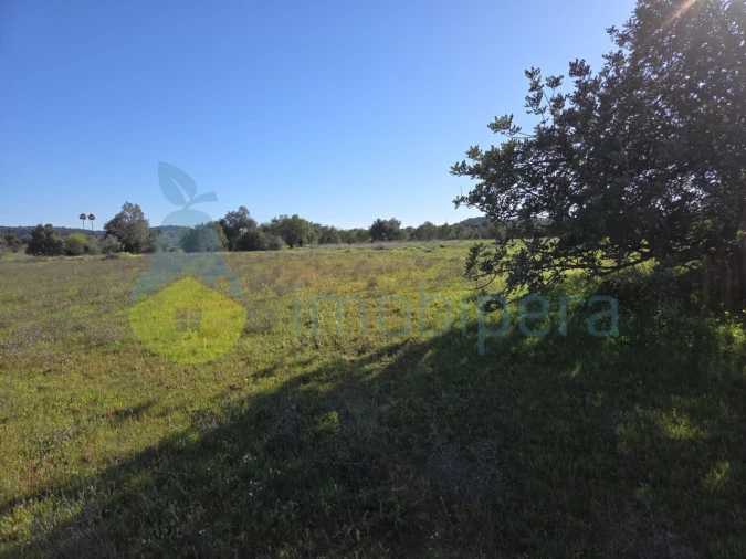 Terreno Agricola ou Rústico para Venda em Paderne Foto 2