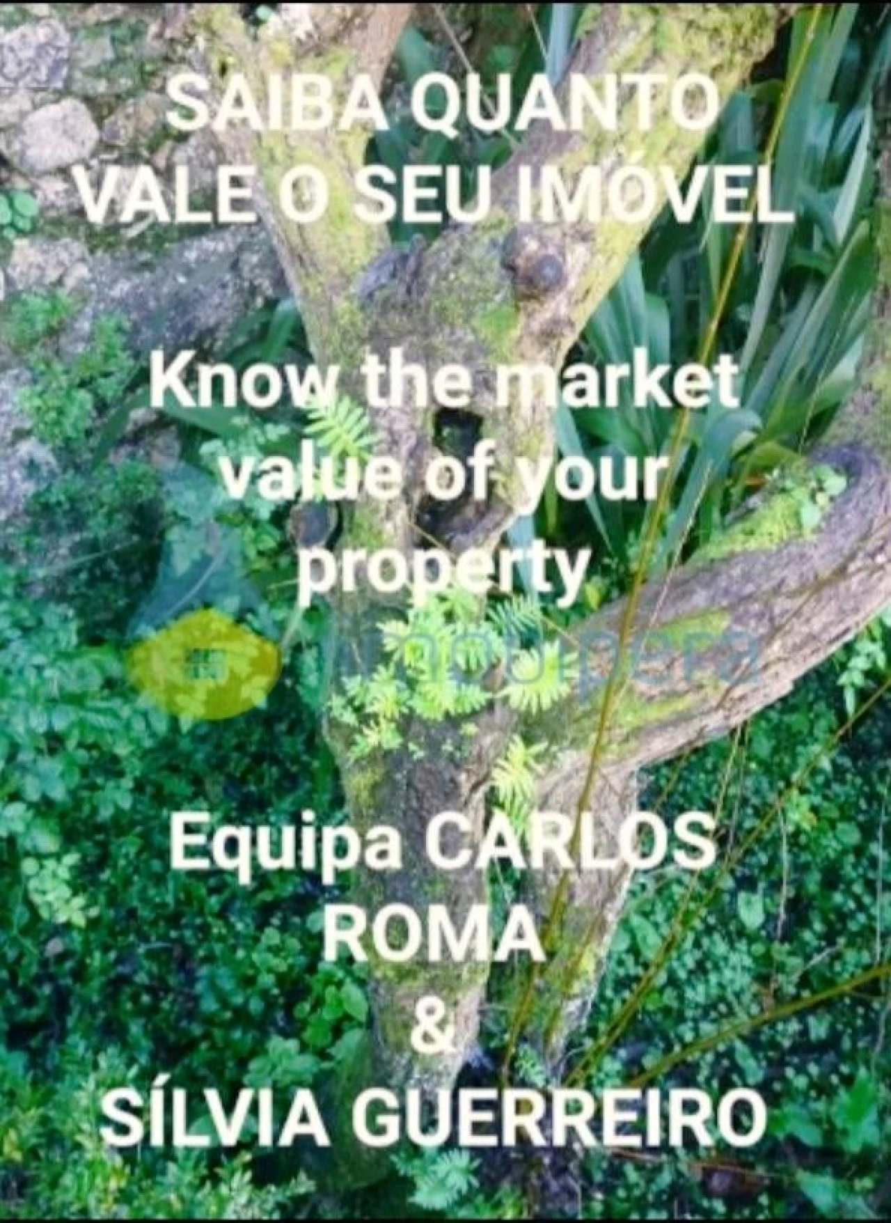 Terreno Agricola ou Rústico para Venda em Albufeira e Olhos de Água Foto 4