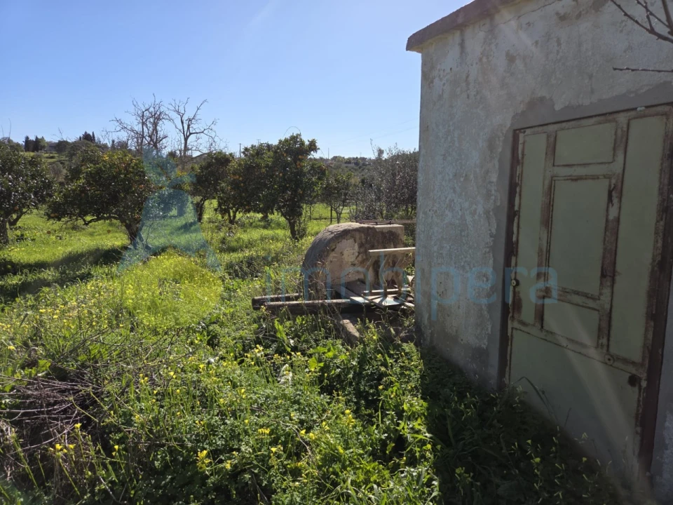 Terreno Agricola ou Rústico para Venda em Albufeira e Olhos de Água Foto 5