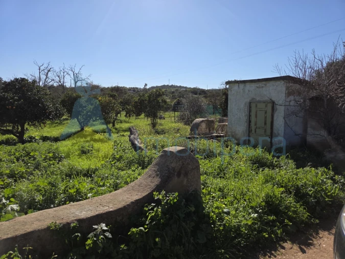 Terreno Agricola ou Rústico para Venda em Albufeira e Olhos de Água Foto 1