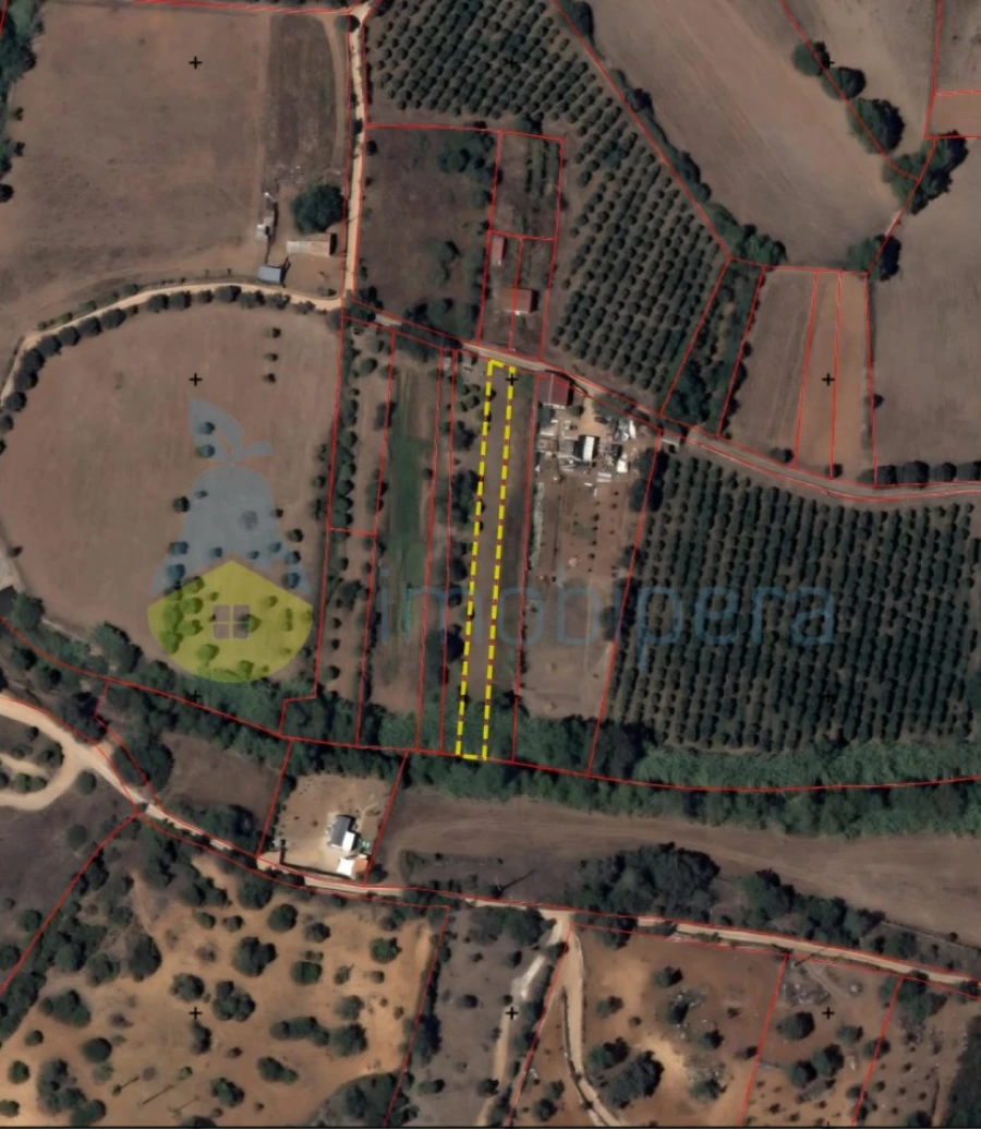 Terreno Agricola ou Rústico para Venda em Albufeira e Olhos de Água Foto 2