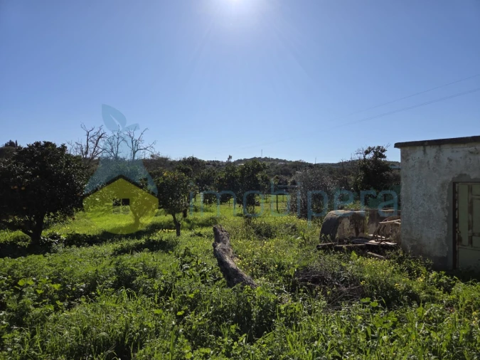 Terreno Agricola ou Rústico para Venda em Albufeira e Olhos de Água Foto 3