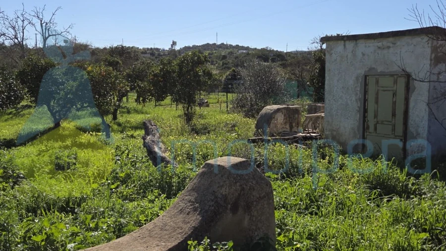 Terreno Agricola ou Rústico para Venda em Albufeira e Olhos de Água