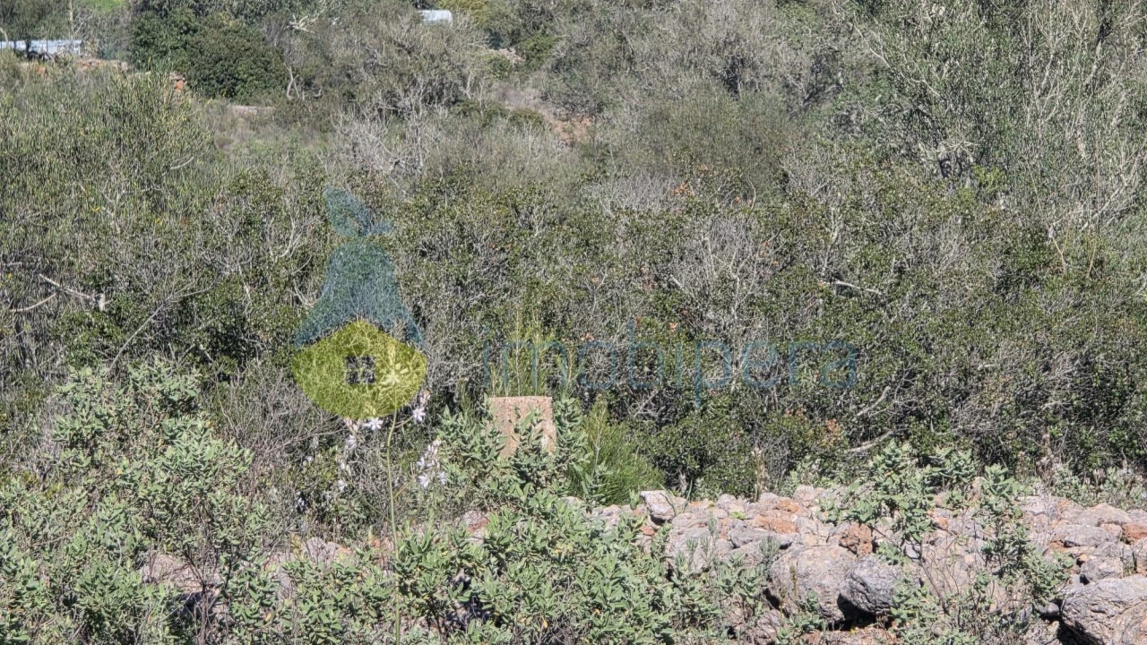 Terreno Agricola ou Rústico para Venda em Paderne Foto 3