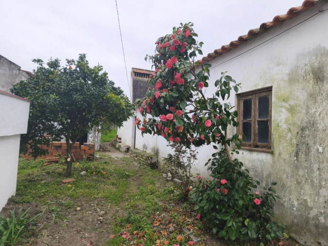 Moradia T3 para Venda em Bemposta Foto 3