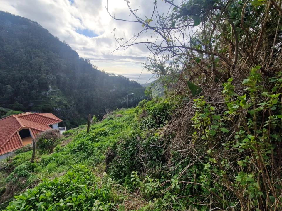 Moradia T2 para Venda em Campanario Foto 12