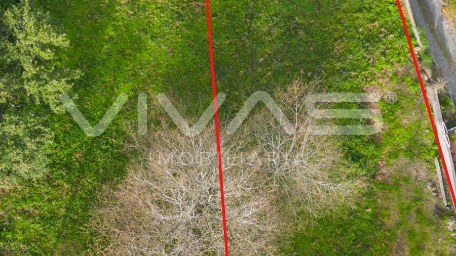 Terreno para Venda em Caldelas, Sequeiros e Paranhos