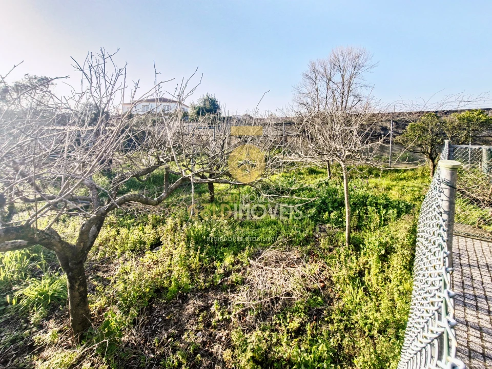 Terreno Agricola ou Rústico para Venda em Pardilho Foto 16