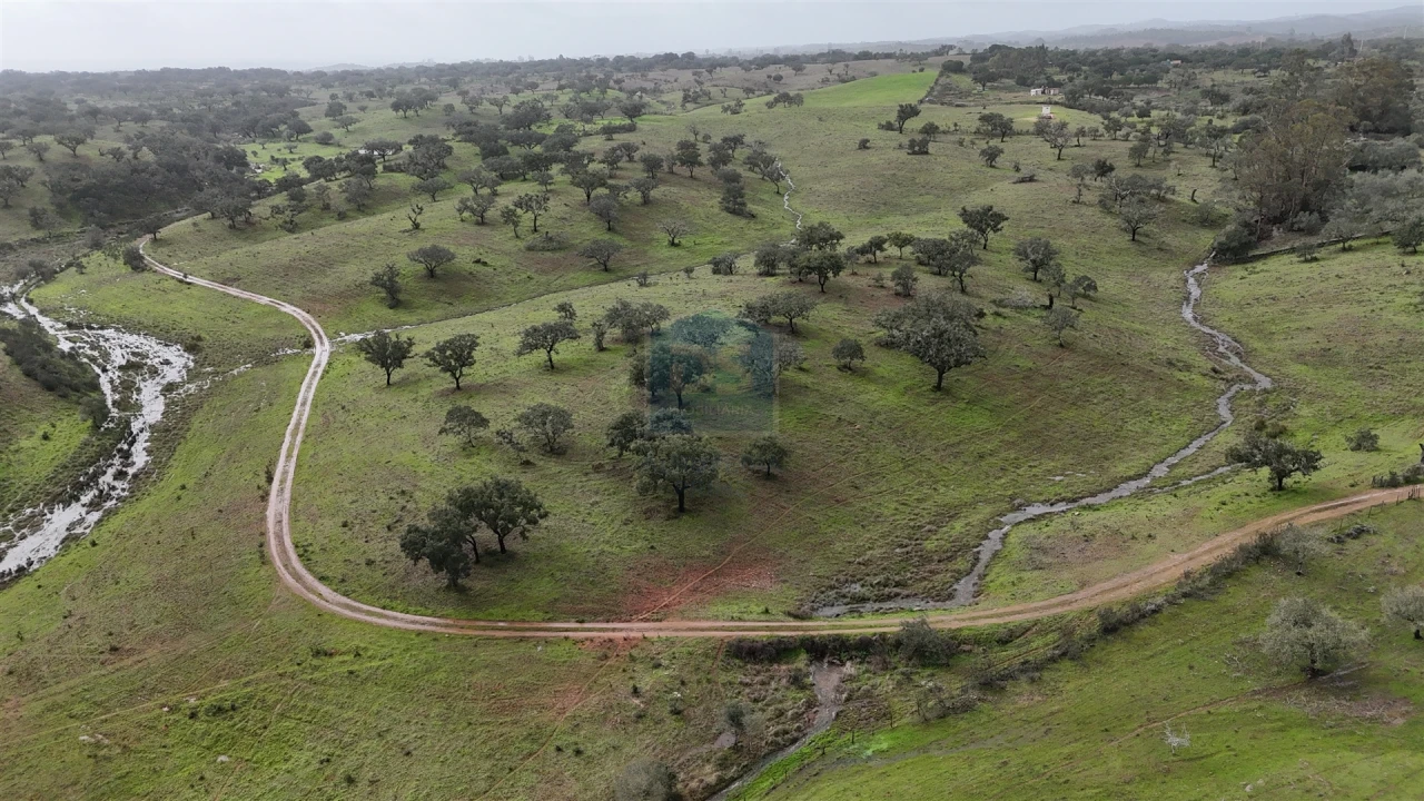 Quinta T4 para Venda em Ourique Foto 12