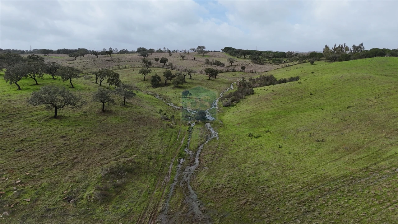 Quinta T4 para Venda em Ourique Foto 16