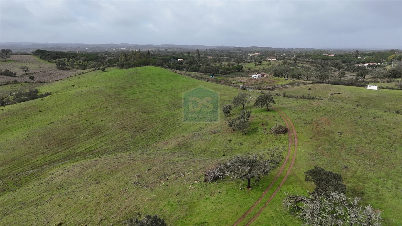 Quinta T4 para Venda em Ourique Foto 15