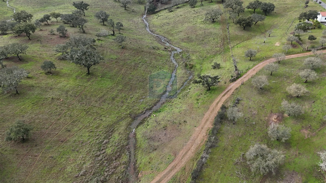 Quinta T4 para Venda em Ourique Foto 11