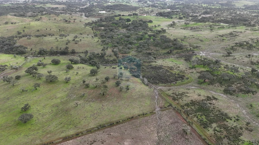 Quinta T4 para Venda em Ourique Foto 20