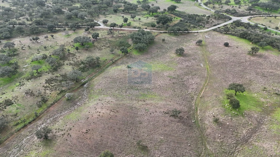 Quinta T4 para Venda em Ourique Foto 21