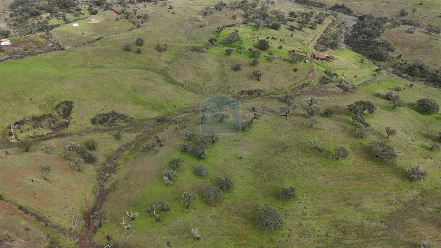 Quinta T4 para Venda em Ourique Foto 23