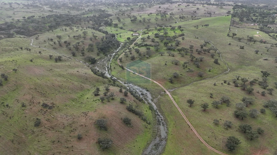 Quinta T4 para Venda em Ourique Foto 9