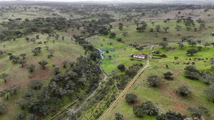 Quinta T4 para Venda em Ourique Foto 5