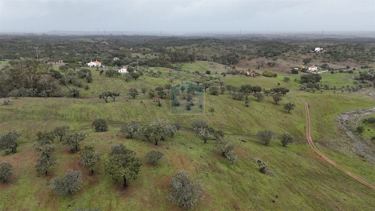 Quinta T4 para Venda em Ourique Foto 4