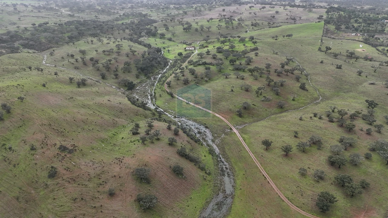 Quinta T4 para Venda em Ourique Foto 9