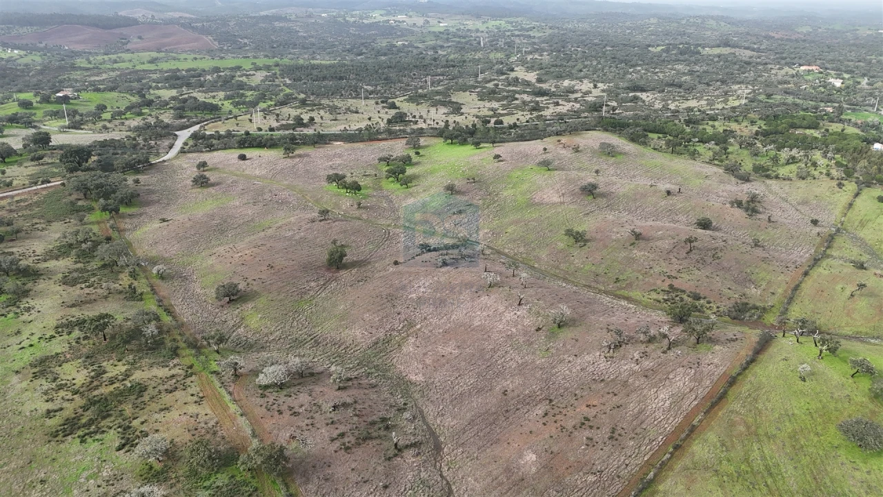 Quinta T4 para Venda em Ourique Foto 25