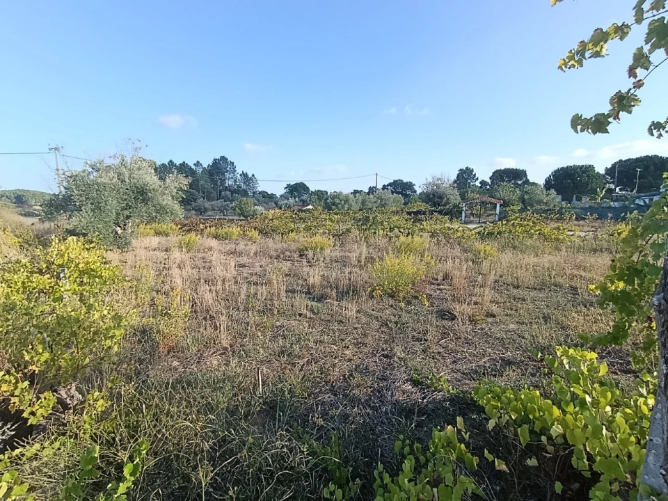 Armazém para Venda em Sardoal Foto 28