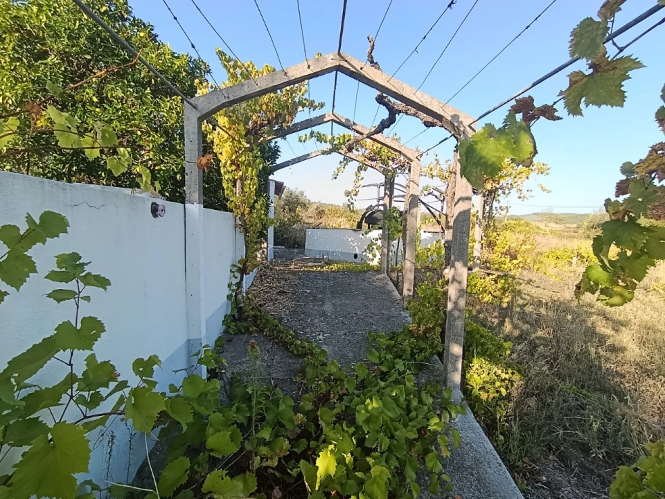 Armazém para Venda em Sardoal Foto 21