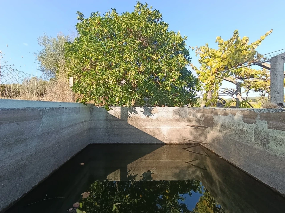 Armazém para Venda em Sardoal Foto 15
