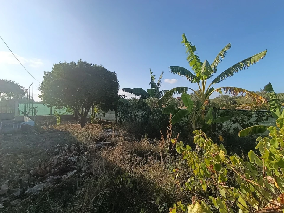 Armazém para Venda em Sardoal Foto 30