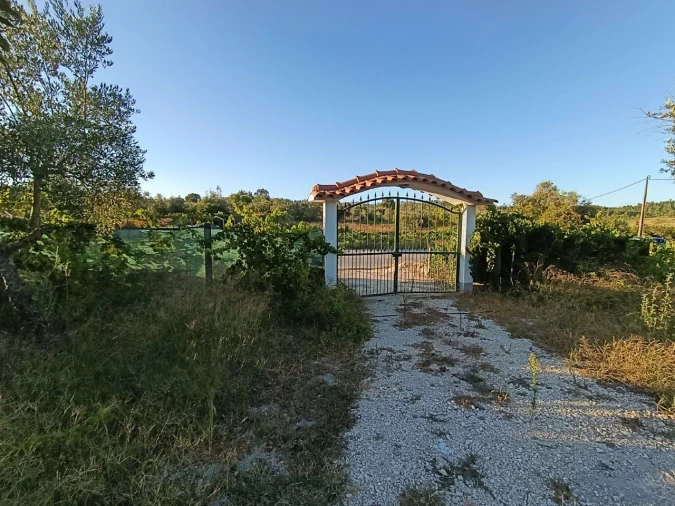 Armazém para Venda em Sardoal Foto 23