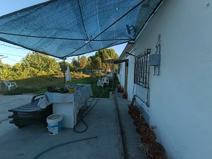 Armazém para Venda em Sardoal Foto 4