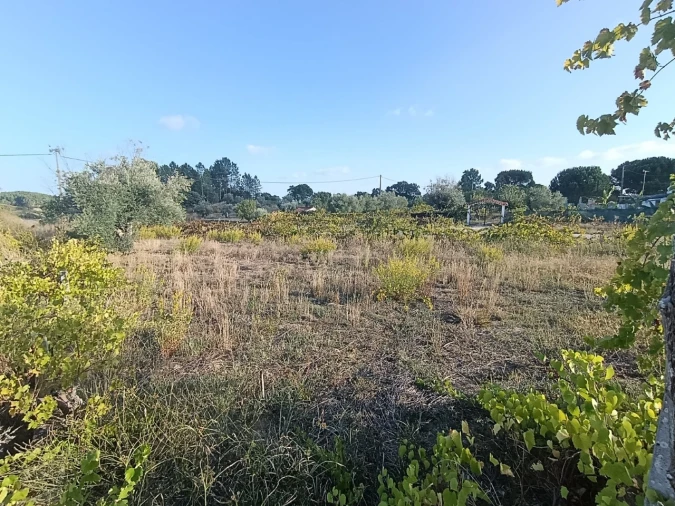 Armazém para Venda em Sardoal Foto 28