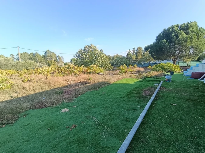 Armazém para Venda em Sardoal Foto 33