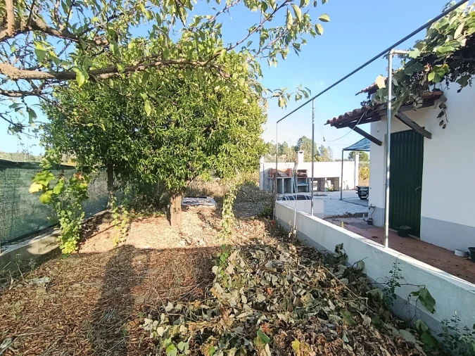 Armazém para Venda em Sardoal Foto 35