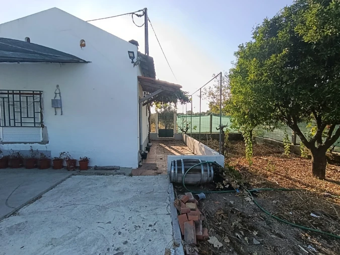 Armazém para Venda em Sardoal Foto 41