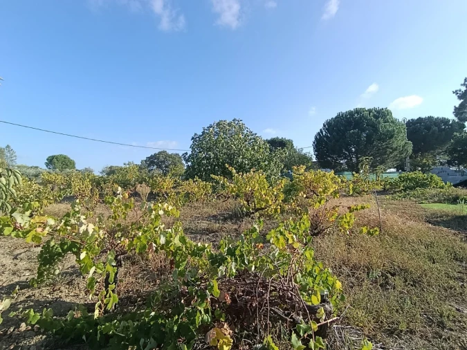 Armazém para Venda em Sardoal Foto 37
