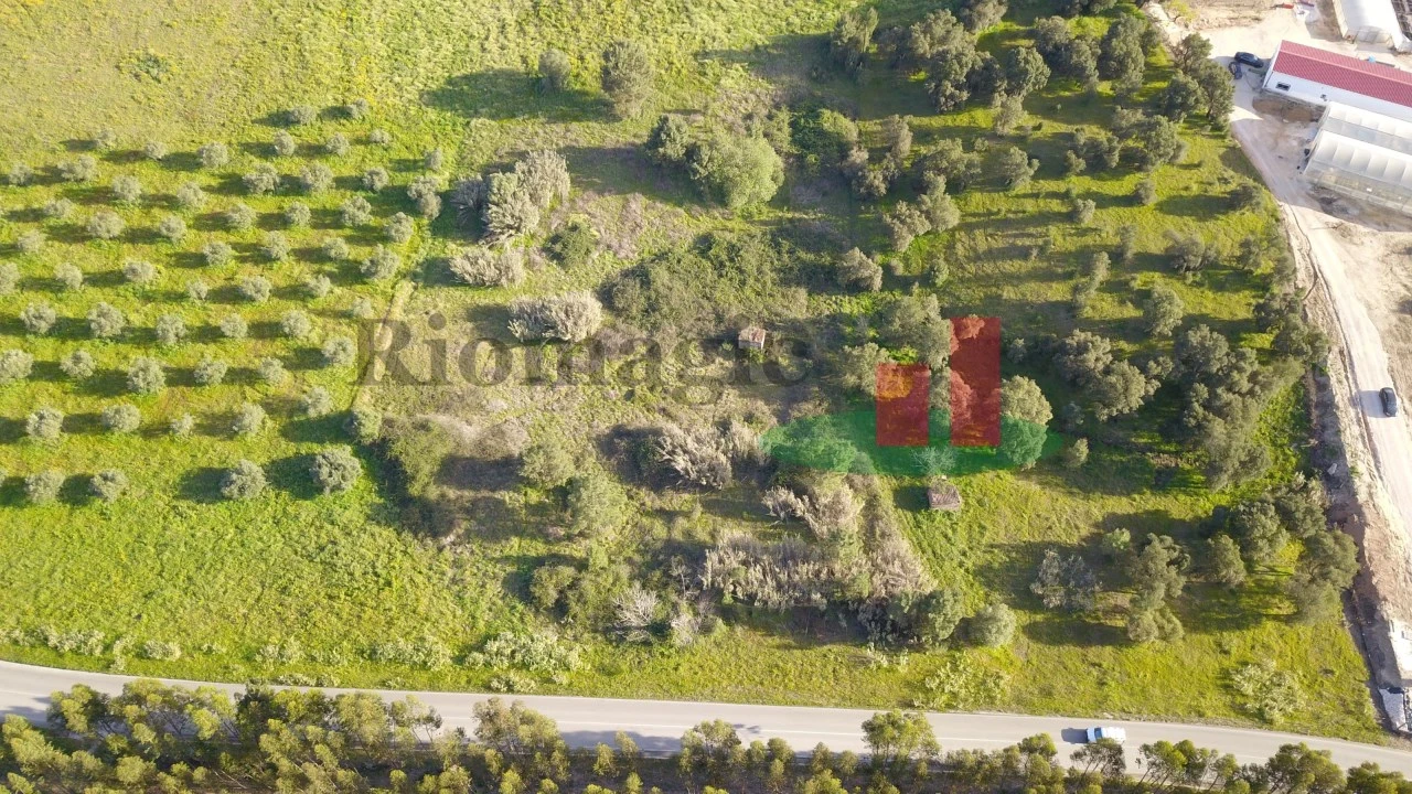 Terreno Agricola ou Rústico para Venda em Rio Maior Foto 3