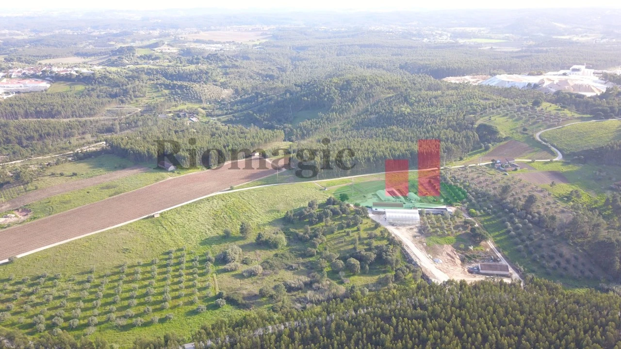 Terreno Agricola ou Rústico para Venda em Rio Maior Foto 6