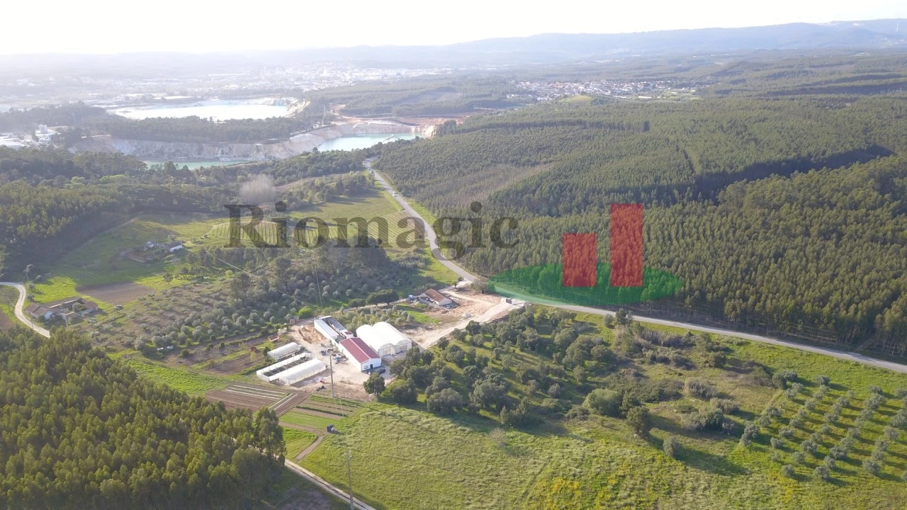 Terreno Agricola ou Rústico para Venda em Rio Maior Foto 7