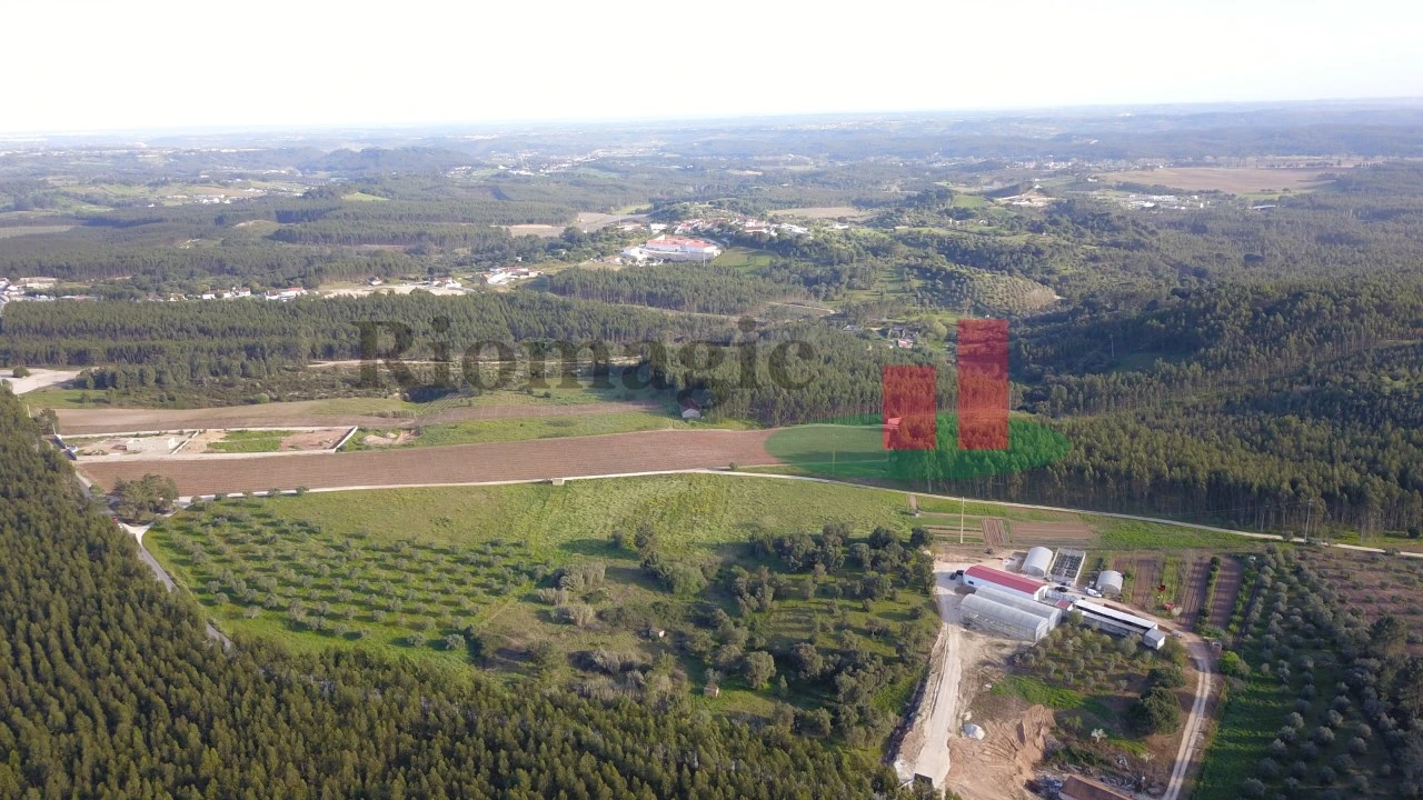 Terreno Agricola ou Rústico para Venda em Rio Maior Foto 8