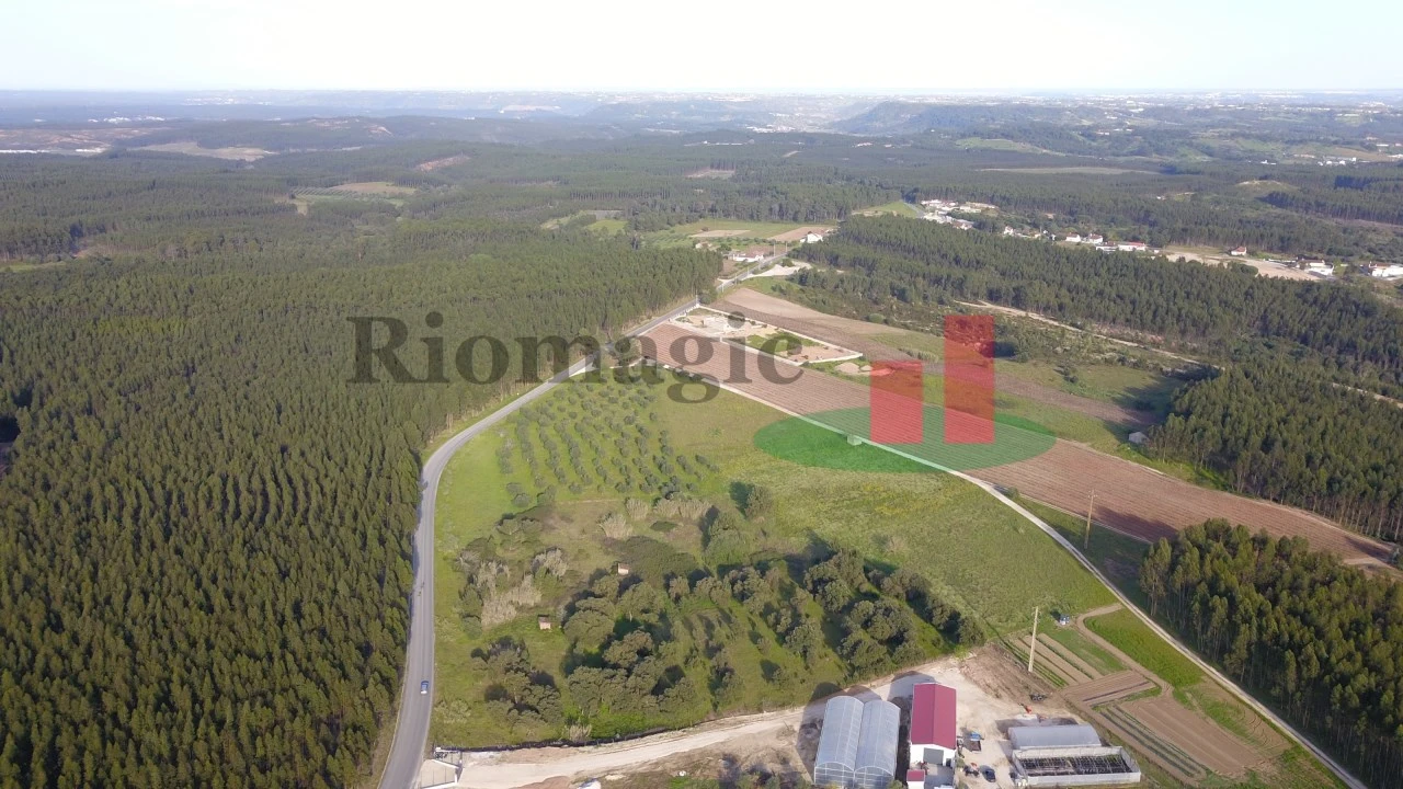 Terreno Agricola ou Rústico para Venda em Rio Maior Foto 10