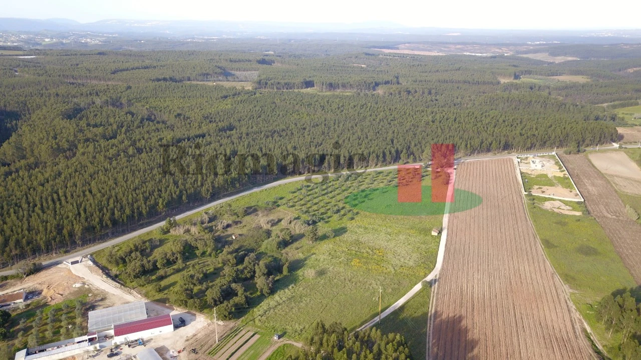 Terreno Agricola ou Rústico para Venda em Rio Maior Foto 11