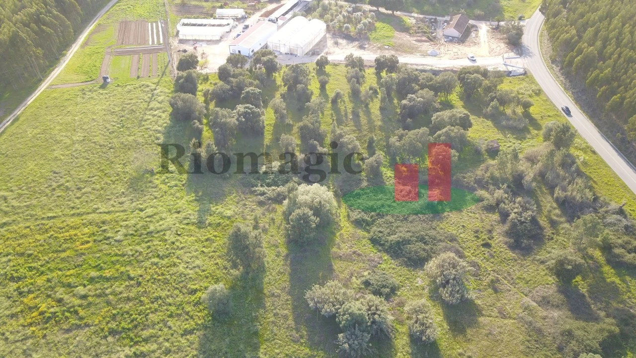 Terreno Agricola ou Rústico para Venda em Rio Maior Foto 13