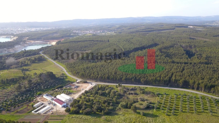 Terreno Agricola ou Rústico para Venda em Rio Maior Foto 5