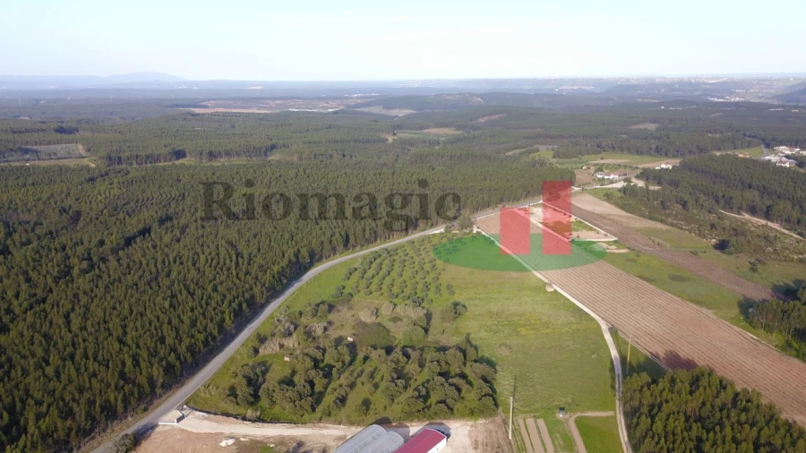 Terreno Agricola ou Rústico para Venda em Rio Maior Foto 4